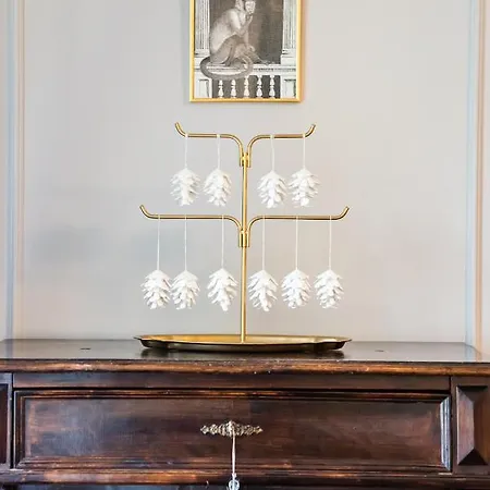 Premium Artdeco Boutique By Bookinghost